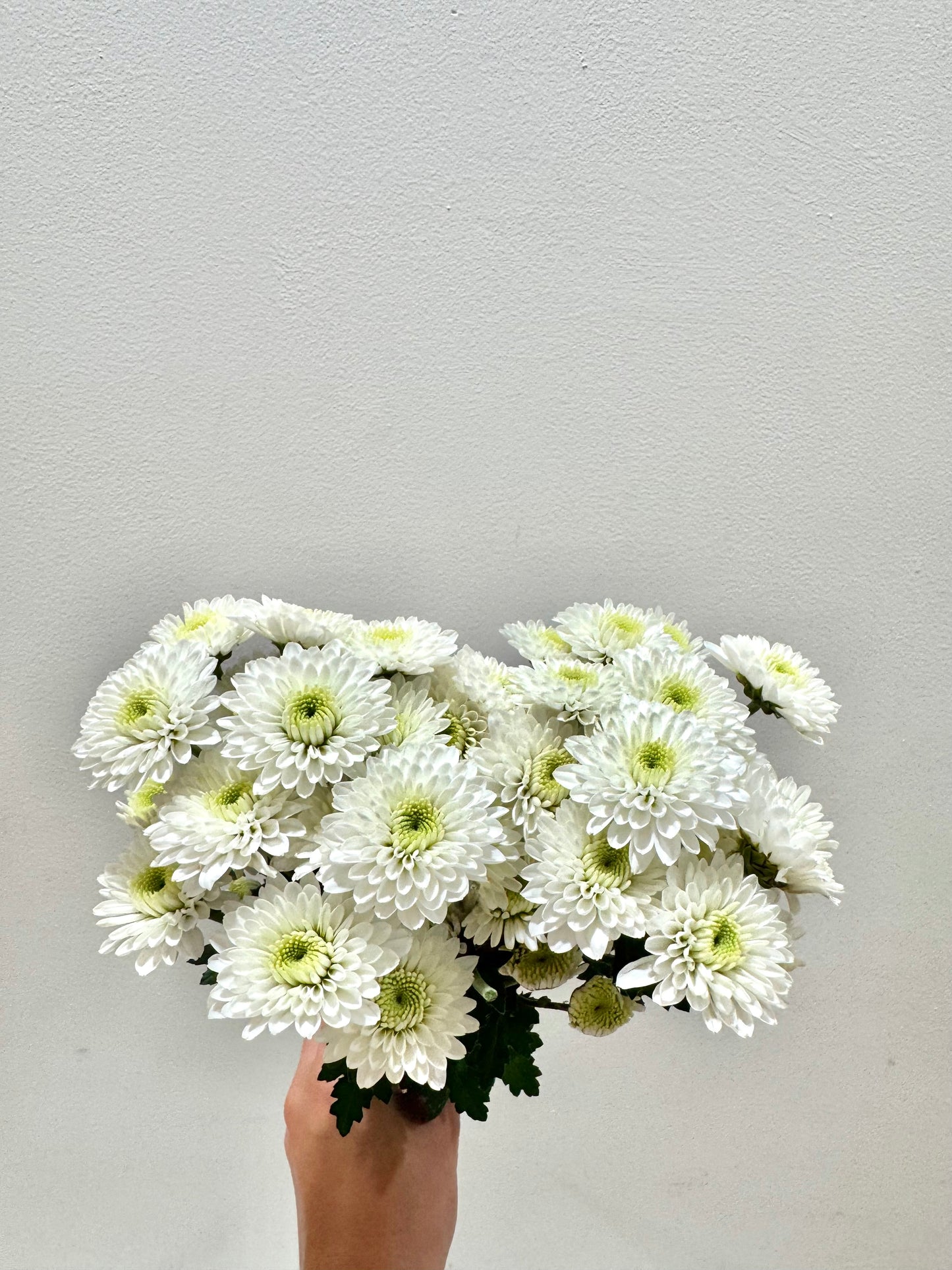 Pompom Buttons