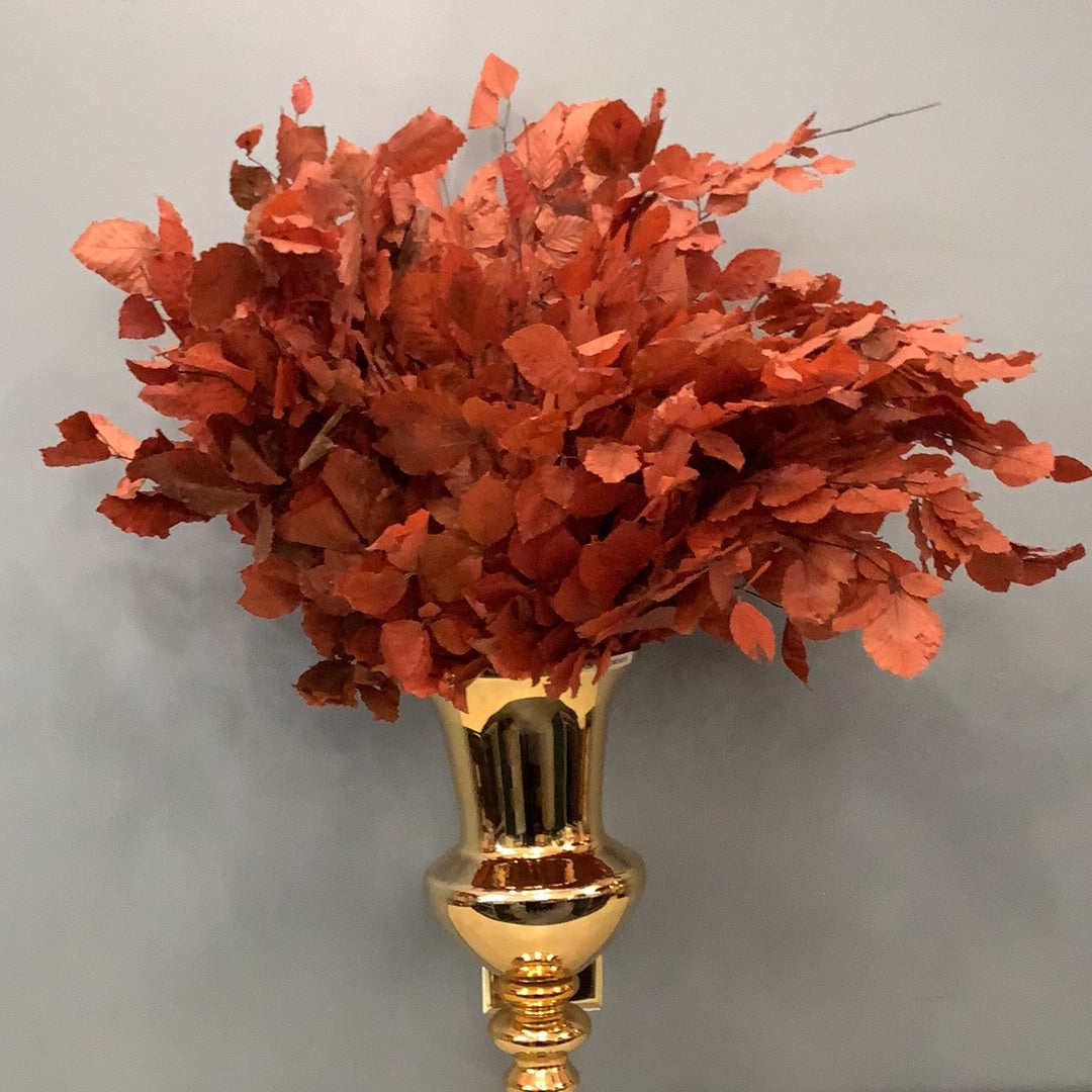 Copper Beech Bunch