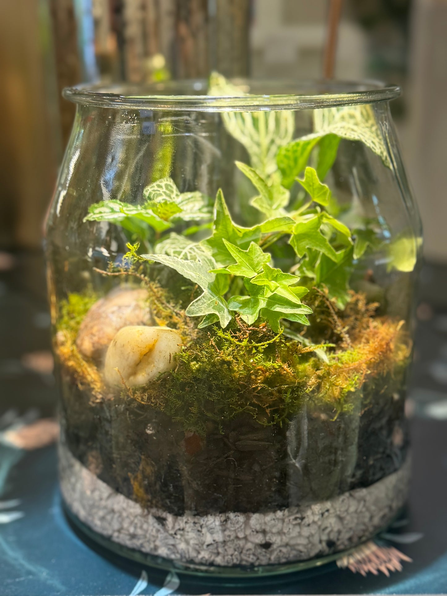 Terrarium Jar