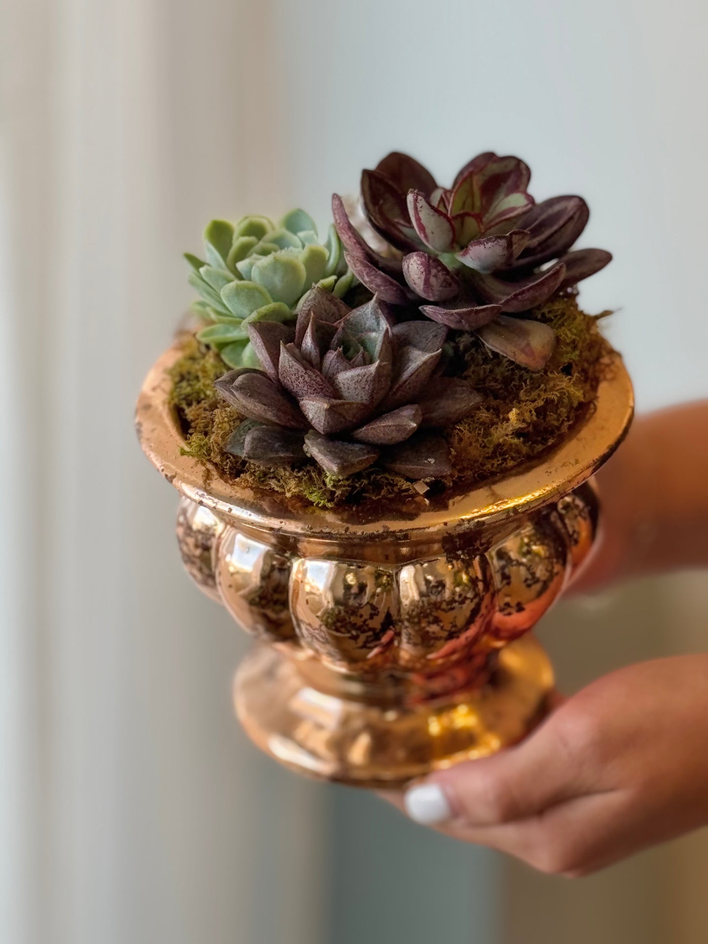 Rose Gold Succulent