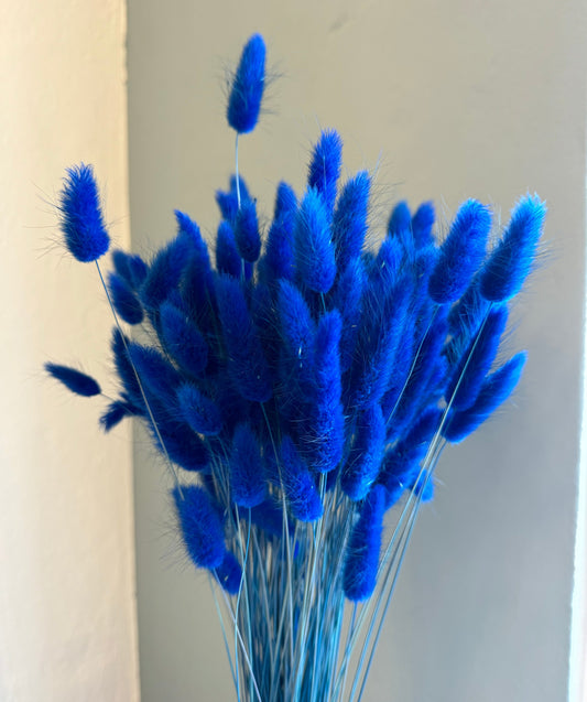 Bunny Tail Bunch Cobalt Blue