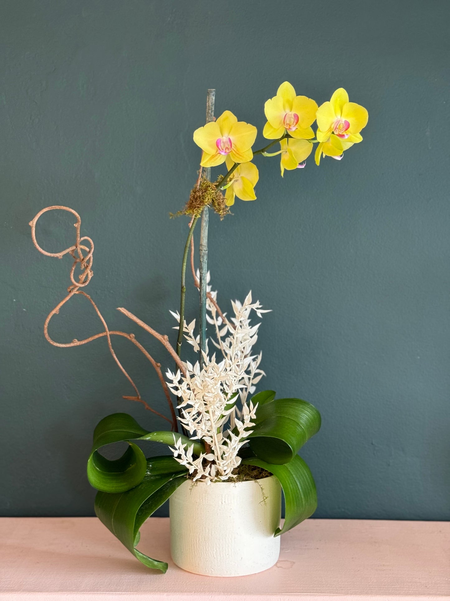 Orchid Arrangement