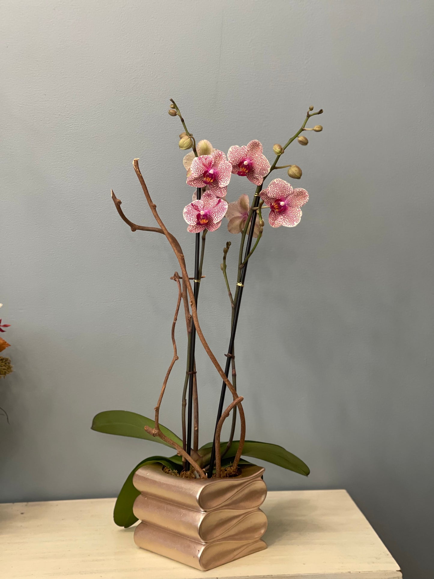 Orquídea en base de Ceramica