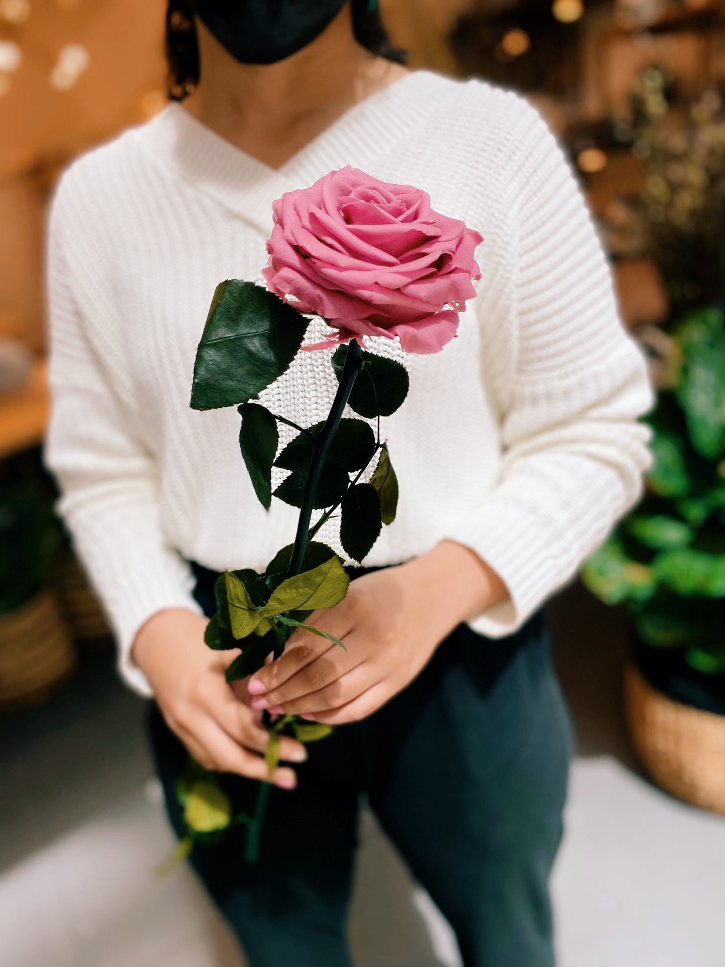 Preserved Rose Long Stem