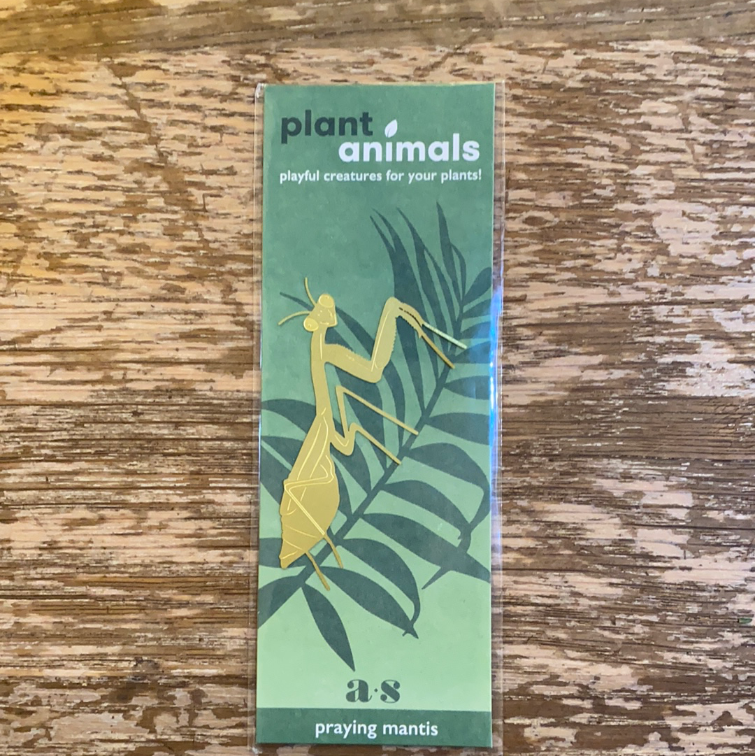 Plant Animals